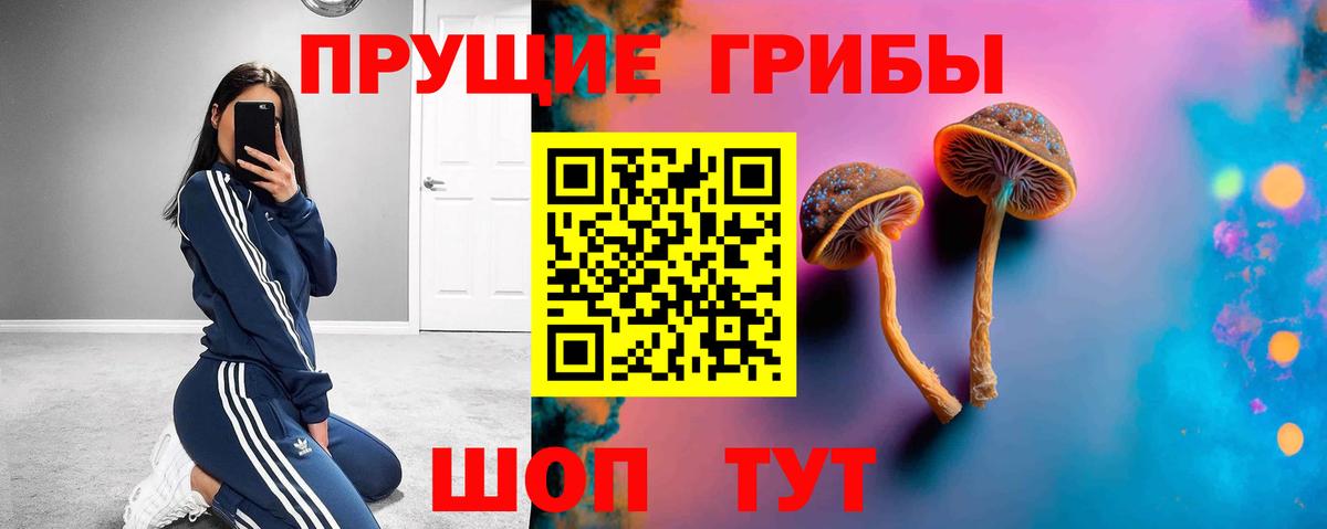 Елец  Псилоцибиновые грибы ЛСД  Вход с VPN 